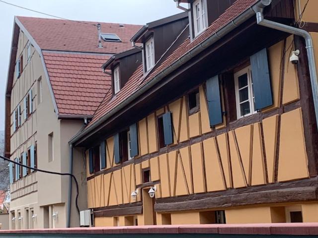 Coeur D'Alsace Colmar Vignobles Ouest Avec Terrasses Villa วินเซินไฮม์ ภายนอก รูปภาพ