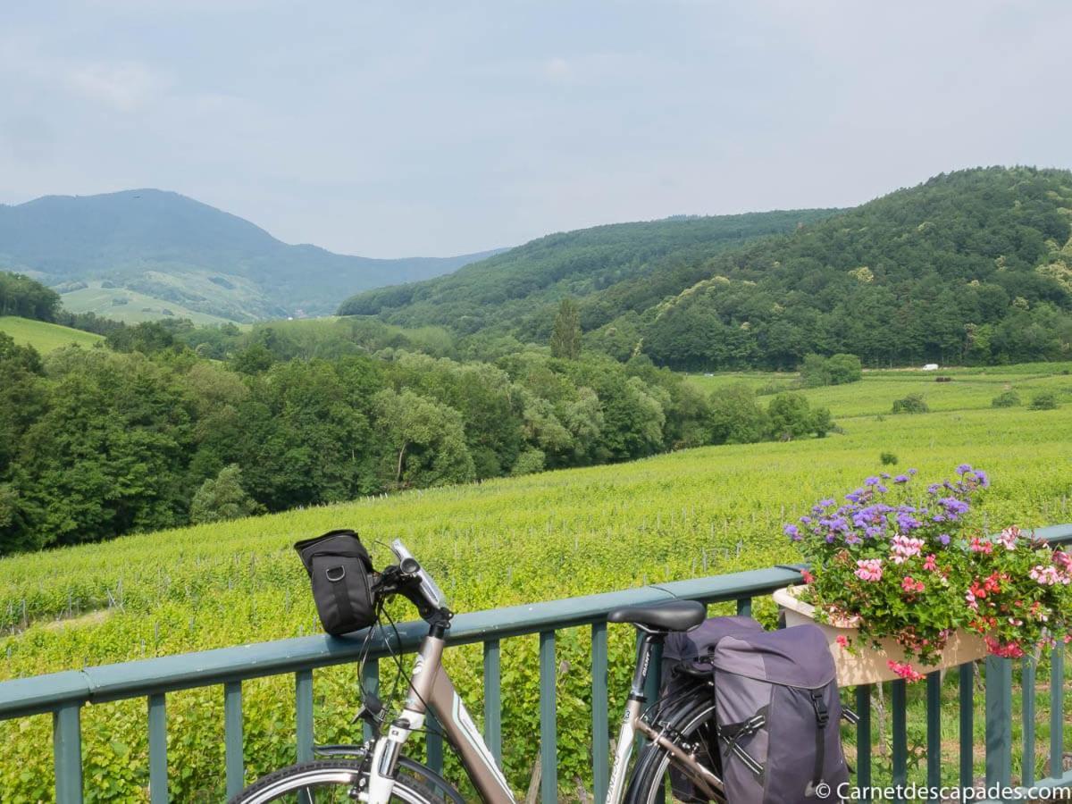 Coeur D'Alsace Colmar Vignobles Ouest Avec Terrasses Villa วินเซินไฮม์ ภายนอก รูปภาพ