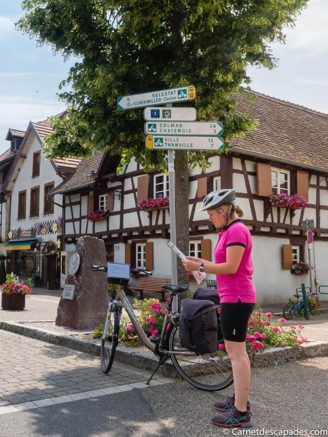 Coeur D'Alsace Colmar Vignobles Ouest Avec Terrasses Villa วินเซินไฮม์ ภายนอก รูปภาพ