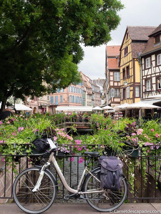 Coeur D'Alsace Colmar Vignobles Ouest Avec Terrasses Villa วินเซินไฮม์ ภายนอก รูปภาพ