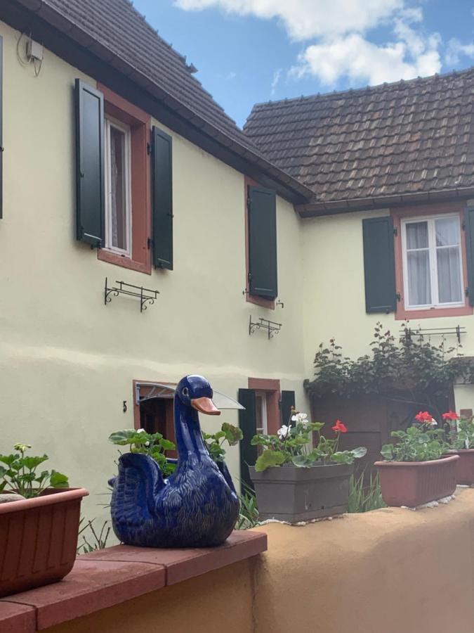 Coeur D'Alsace Colmar Vignobles Ouest Avec Terrasses Villa วินเซินไฮม์ ภายนอก รูปภาพ