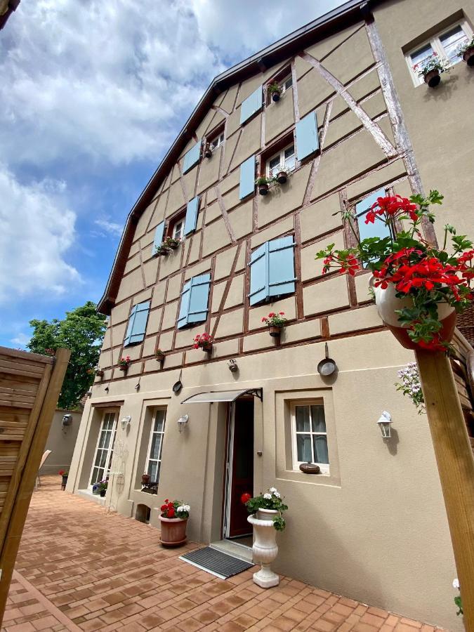Coeur D'Alsace Colmar Vignobles Ouest Avec Terrasses Villa วินเซินไฮม์ ภายนอก รูปภาพ