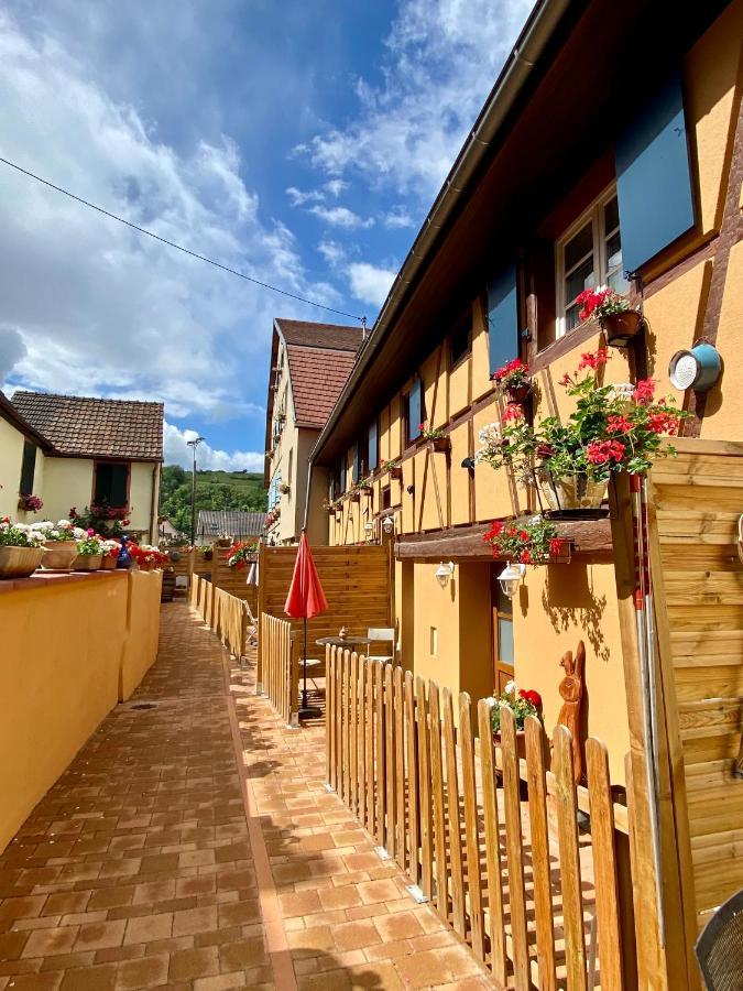 Coeur D'Alsace Colmar Vignobles Ouest Avec Terrasses Villa วินเซินไฮม์ ภายนอก รูปภาพ