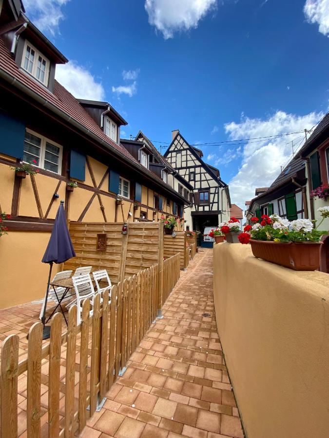Coeur D'Alsace Colmar Vignobles Ouest Avec Terrasses Villa วินเซินไฮม์ ภายนอก รูปภาพ