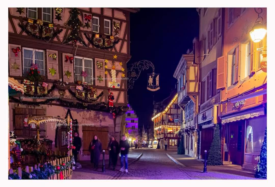 Coeur D'Alsace Colmar Vignobles Ouest Avec Terrasses Villa วินเซินไฮม์ ภายนอก รูปภาพ
