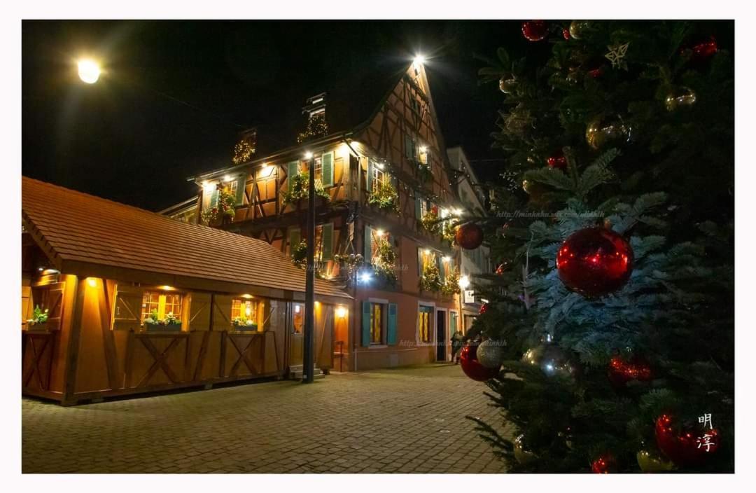 Coeur D'Alsace Colmar Vignobles Ouest Avec Terrasses Villa วินเซินไฮม์ ภายนอก รูปภาพ