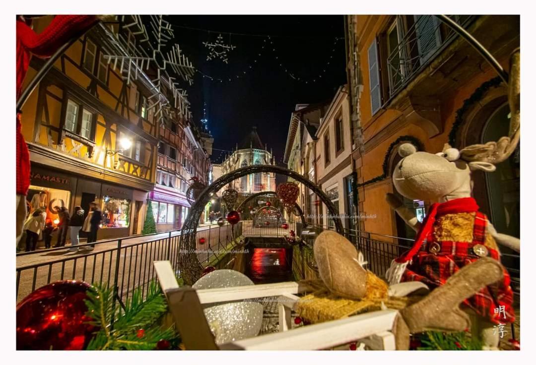 Coeur D'Alsace Colmar Vignobles Ouest Avec Terrasses Villa วินเซินไฮม์ ภายนอก รูปภาพ