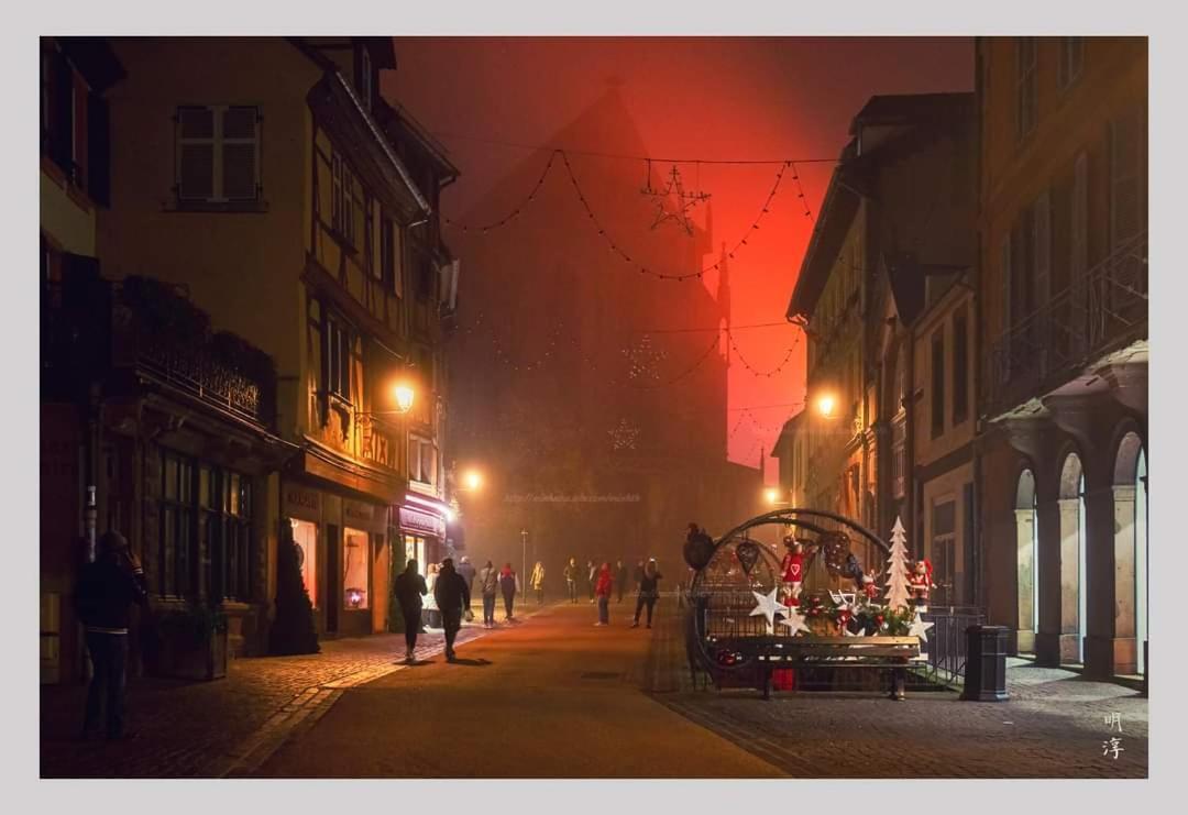 Coeur D'Alsace Colmar Vignobles Ouest Avec Terrasses Villa วินเซินไฮม์ ภายนอก รูปภาพ